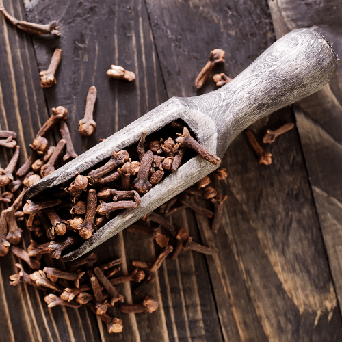 1.-sinif-karanfil.png TANE KARANFİL - Görsel 1