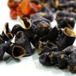 DOLMALIK KURU PATLICAN 1 BAĞ 50 ADET